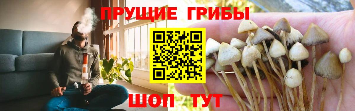 Фрязино  Псилоцибиновые грибы мухоморы  Вход с VPN  Галлюциногенные грибы Magic Shrooms 